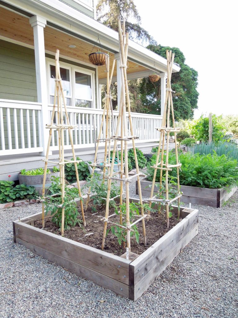 14 DIY Tomato Trellis - DIYCraftsGuru