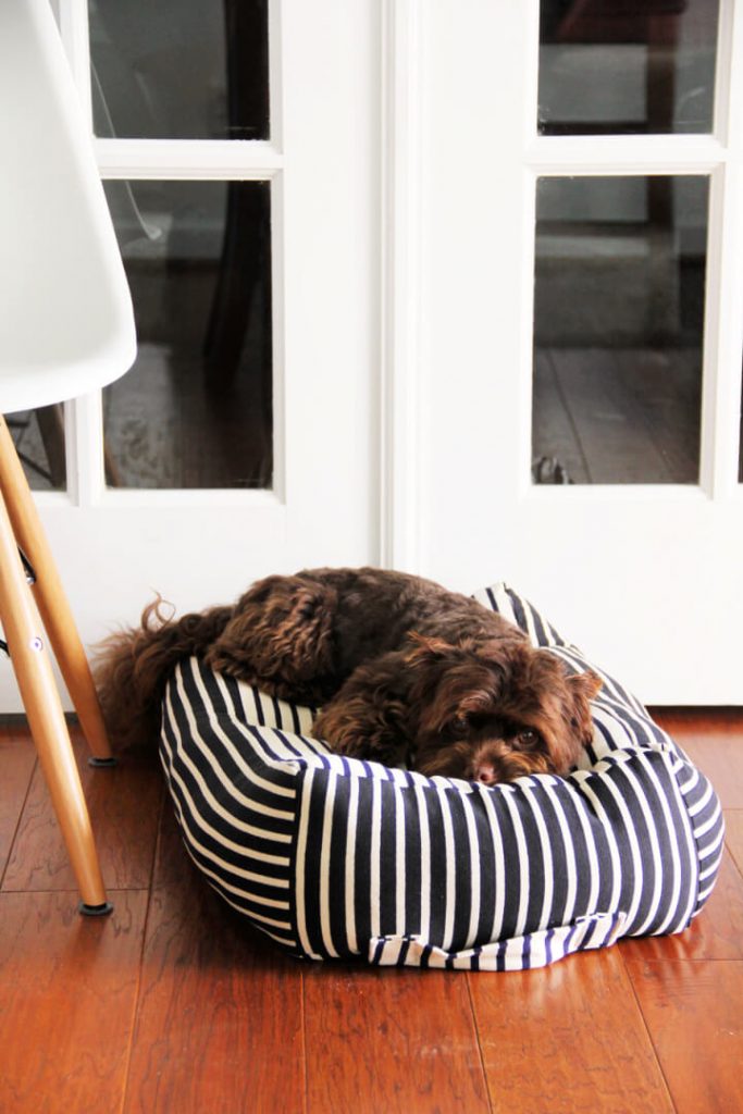 14 Amazing And Free Dog Bed Patterns - DIYCraftsGuru